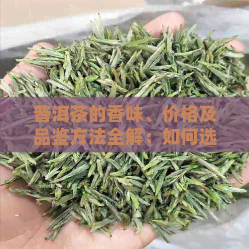 普洱茶的香味、价格及品鉴方法全解：如何选购和品尝普洱茶？