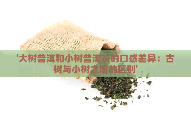 '大树普洱和小树普洱茶的口感差异：古树与小树之间的区别'