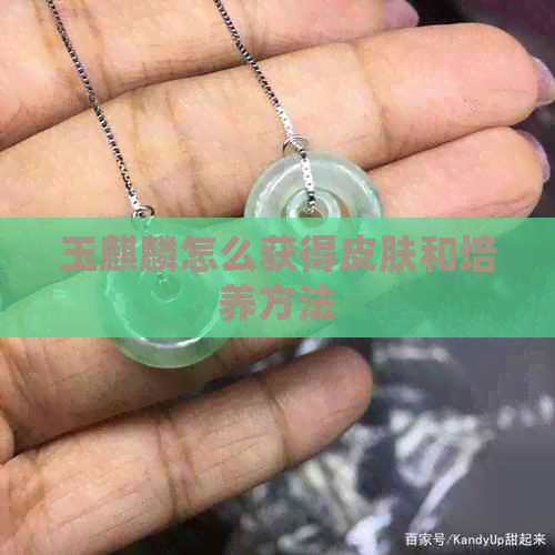 玉麒麟怎么获得皮肤和培养方法