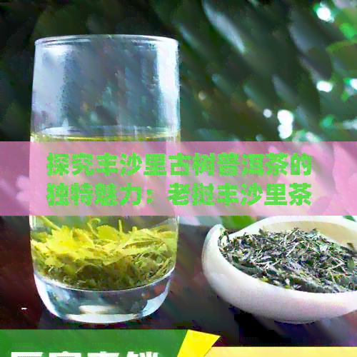 探究丰沙里古树普洱茶的独特魅力：老挝丰沙里茶口感分析