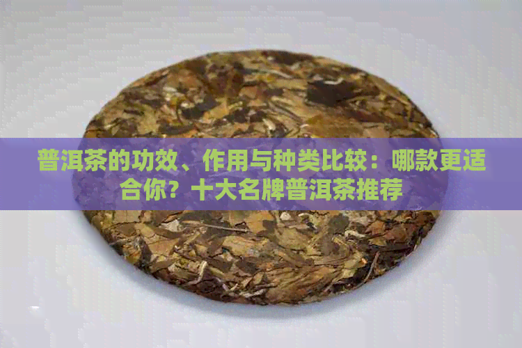 普洱茶的功效、作用与种类比较：哪款更适合你？十大名牌普洱茶推荐