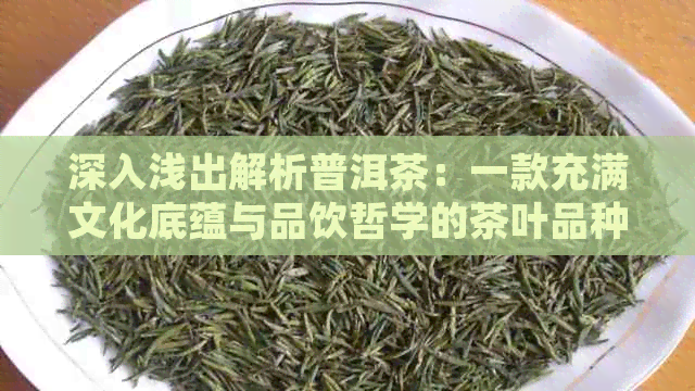 深入浅出解析普洱茶：一款充满文化底蕴与品饮哲学的茶叶品种