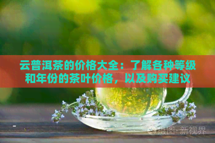 云普洱茶的价格大全：了解各种等级和年份的茶叶价格，以及购买建议