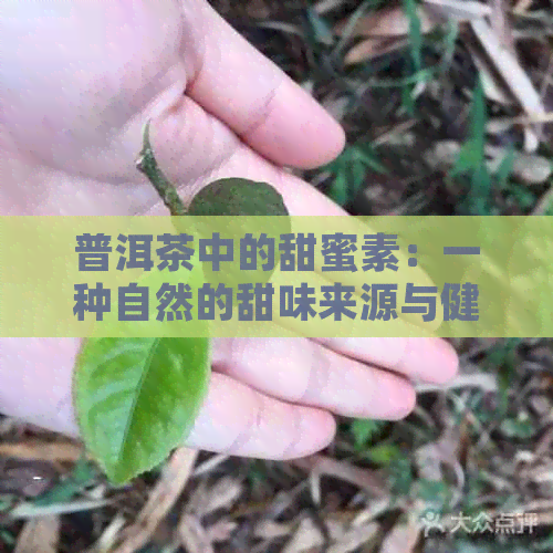 普洱茶中的甜蜜素：一种自然的甜味来源与健效益