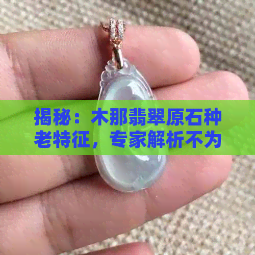 揭秘：木那翡翠原石种老特征，专家解析不为人知的秘密