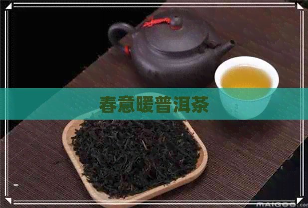 春意暖普洱茶