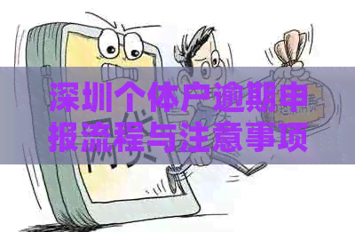 深圳个体户逾期申报流程与注意事项：如何进行合规申报