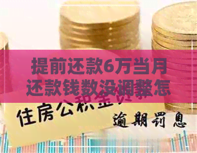 提前还款6万当月还款钱数没调整怎么回事啊