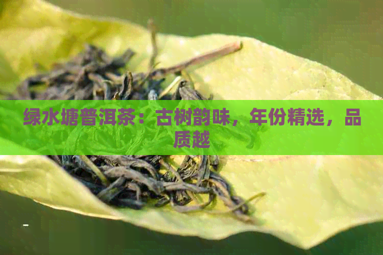 绿水塘普洱茶：古树韵味，年份精选，品质越