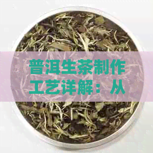 普洱生茶制作工艺详解：从原料到口感的全方位体验