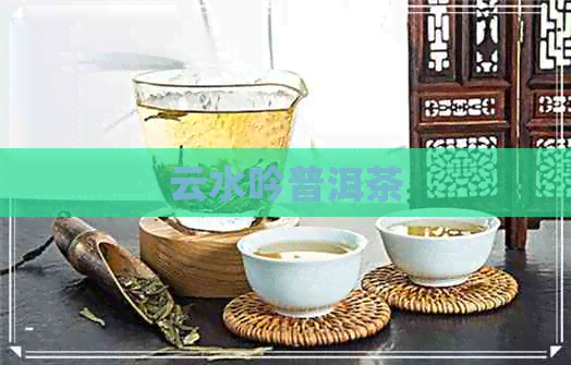 云水吟普洱茶