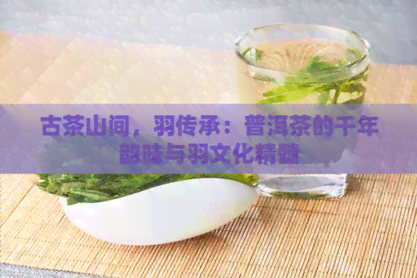 古茶山间，羽传承：普洱茶的千年韵味与羽文化精髓