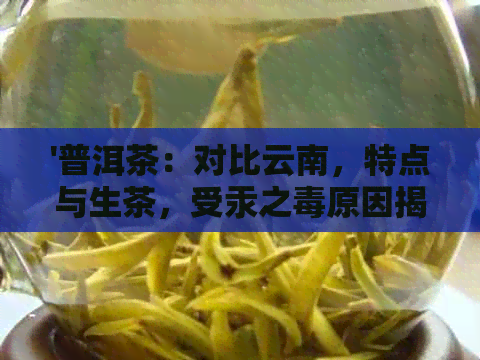 '普洱茶：对比云南，特点与生茶，受汞之原因揭秘'