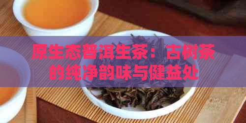 原生态普洱生茶：古树茶的纯净韵味与健益处