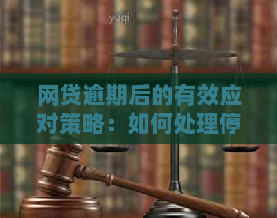 网贷逾期后的有效应对策略：如何处理停息挂账问题