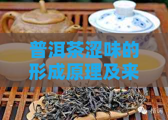 普洱茶涩味的形成原理及来源