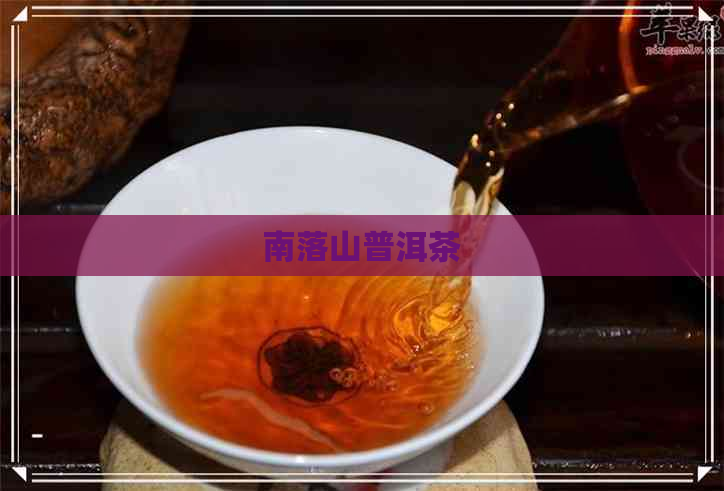 南落山普洱茶