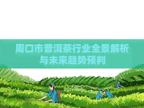 周口市普洱茶行业全景解析与未来趋势预判