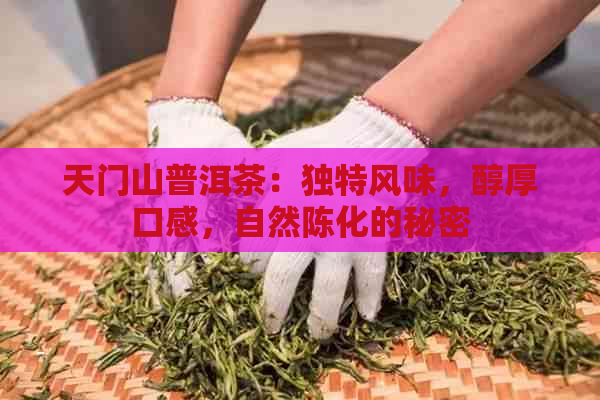 天门山普洱茶：独特风味，醇厚口感，自然陈化的秘密