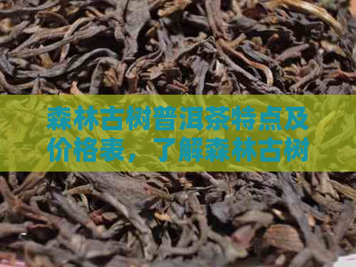 森林古树普洱茶特点及价格表，了解森林古树茶一般多少钱。