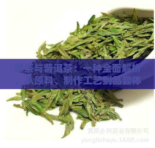 紫茶与普洱茶：一种全面解析，从原料、制作工艺到品尝体验的全方位比较