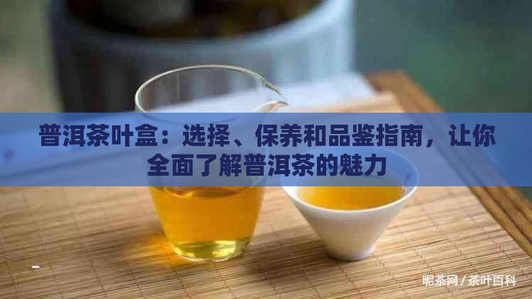 普洱茶叶盒：选择、保养和品鉴指南，让你全面了解普洱茶的魅力