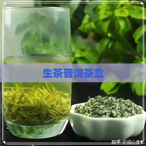 生茶普洱茶盒