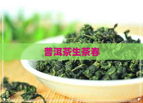 普洱茶生茶春