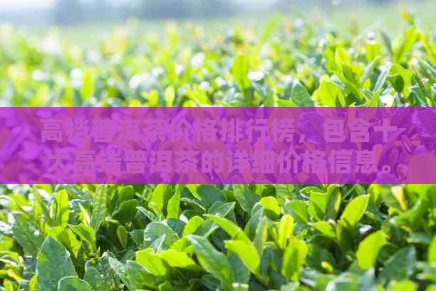 高档普洱茶价格排行榜，包含十大高端普洱茶的详细价格信息。