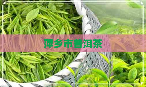 萍乡市普洱茶