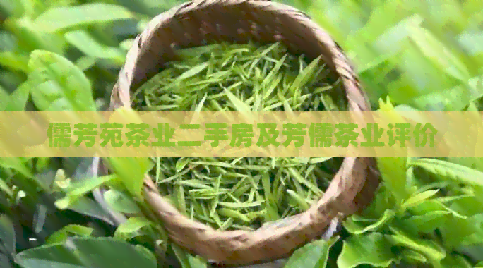 儒芳苑茶业二手房及芳儒茶业评价