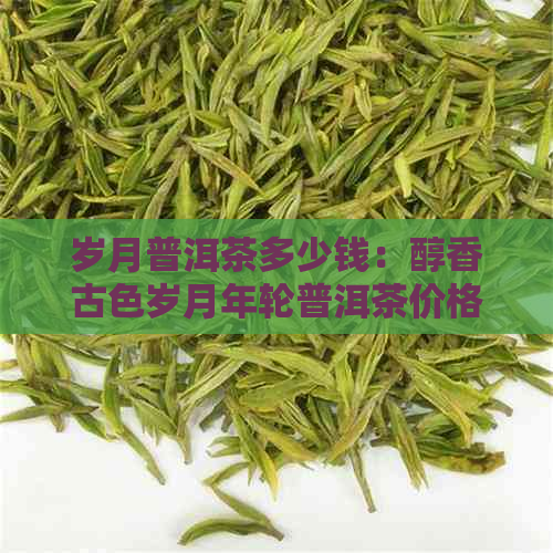 岁月普洱茶多少钱：醇香古色岁月年轮普洱茶价格解析