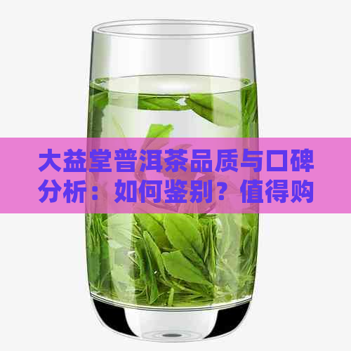 大益堂普洱茶品质与口碑分析：如何鉴别？值得购买吗？