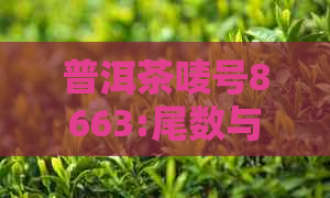 普洱茶唛号8663:尾数与意义及对应茶厂的详细解析