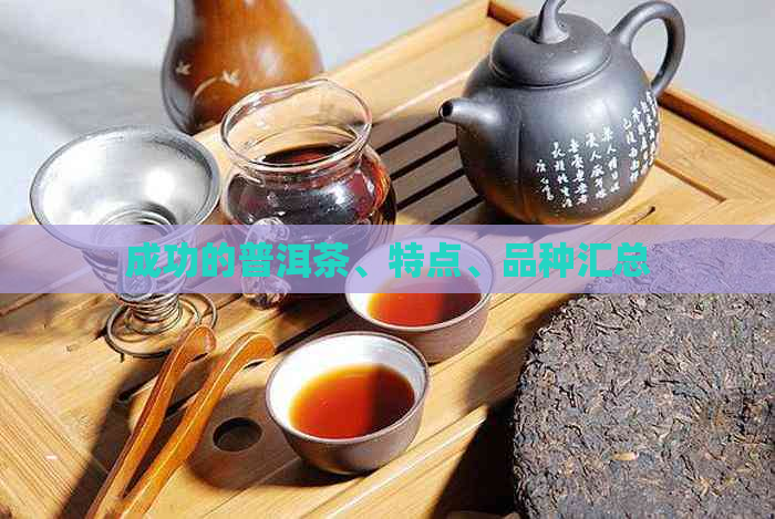 成功的普洱茶、特点、品种汇总