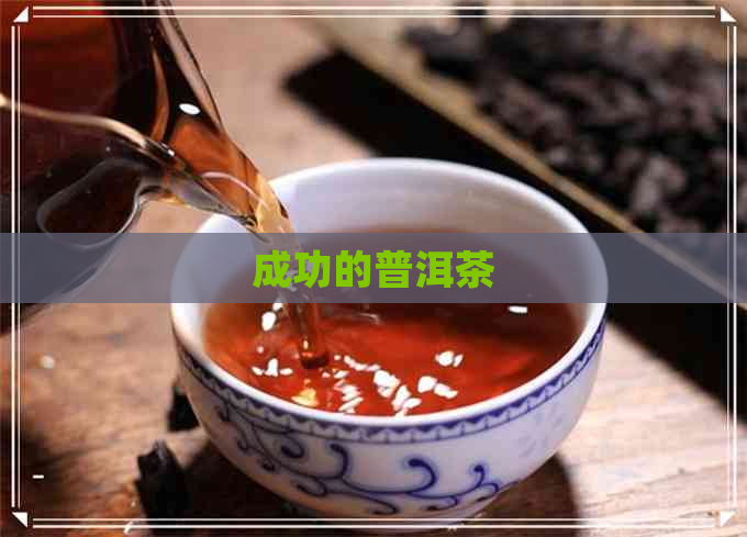 成功的普洱茶