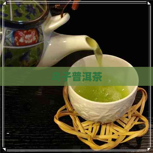 乌子普洱茶