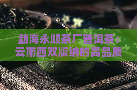 勐海永顺茶厂普洱茶：云南西双版纳的高品质茶叶体验