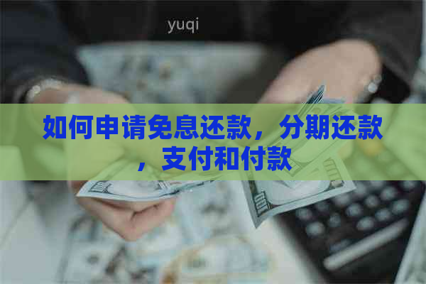 如何申请免息还款，分期还款，支付和付款