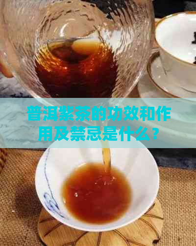 普洱紫茶的功效和作用及禁忌是什么？