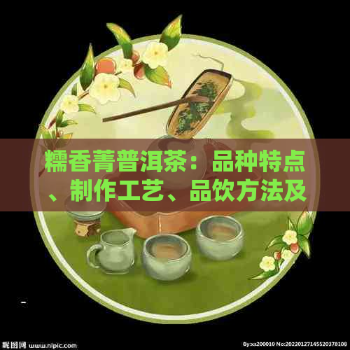 糯香菁普洱茶：品种特点、制作工艺、品饮方法及其健益处的全面解析