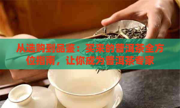 从选购到品鉴：买来的普洱茶全方位指南，让你成为普洱茶专家