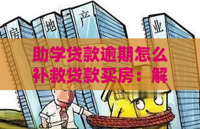 助学贷款逾期怎么补救贷款买房：解决办法与注意事项