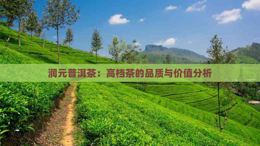 润元普洱茶：高档茶的品质与价值分析