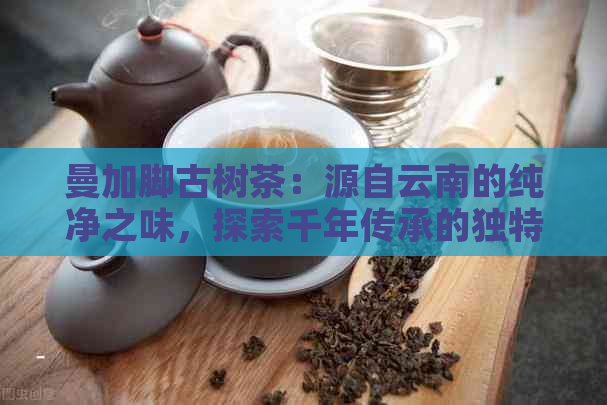 曼加脚古树茶：源自云南的纯净之味，探索千年传承的独特风味