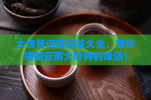 大侠普洱茶品鉴大全，带你领略云南大叶种的味道！