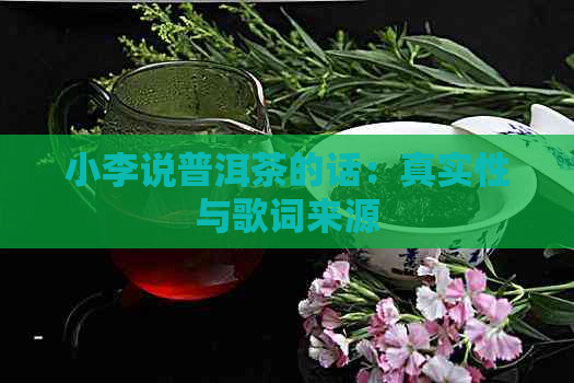 小李说普洱茶的话：真实性与歌词来源