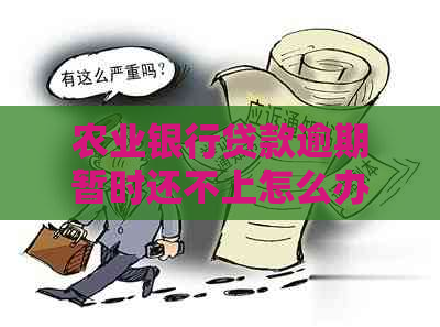 农业银行贷款逾期暂时还不上怎么办？会受影响吗？