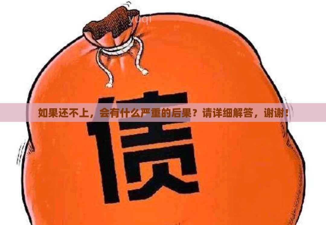 如果还不上，会有什么严重的后果？请详细解答，谢谢！