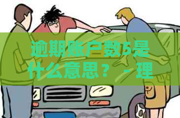 逾期账户数5是什么意思？ - 理解各类逾期账户数的含义